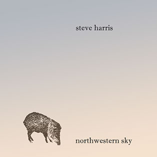 Steve Harris - Northwestern Sky CD image